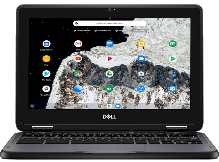 Ноутбук Dell Chromebook 3100 2-in-1 (210-ARJM-08) Gray купить