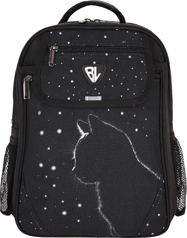 Рюкзак школьный Bagland Отличник 20 л. 58070 черный 1455 - Фото 1