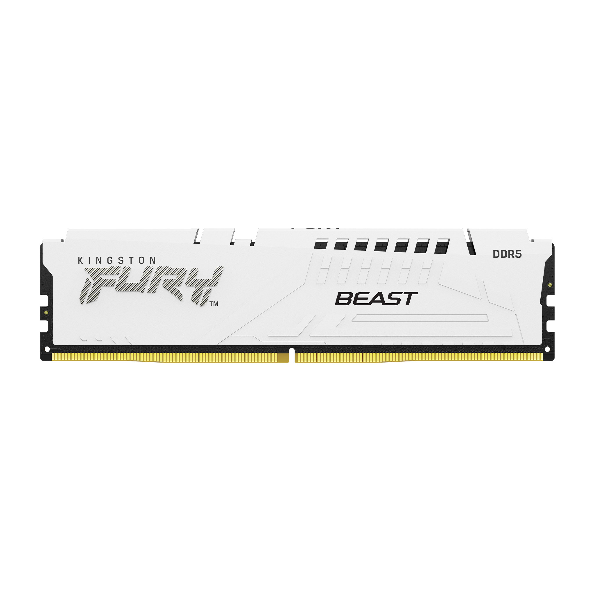 Память DDR Kingston FURY Beast White 16GB 6400 DDR5 (KF564C32BW-16) - Фото 1