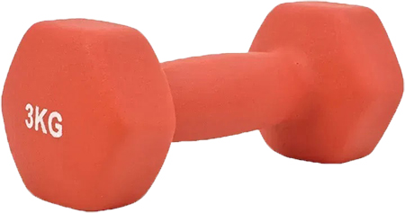 Купити Гантель для фітнесу TECOFIT 3 кг (TOP20056110/2) - Фото 1 Гантель для фітнесу TECOFIT 3 кг (TOP20056110/2) - Фото 1