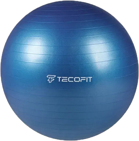 Купити М'яч для фітнесу TECOFIT PVC/ПВХ 65 см (TOP17113578/1) - Фото 1 М'яч для фітнесу TECOFIT PVC/ПВХ 65 см (TOP17113578/1) - Фото 1