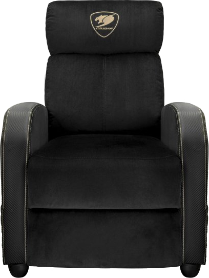 Кресло для геймеров Cougar Ranger Elite Gold - Фото 1