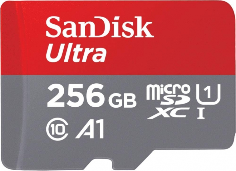 Карта памяти SanDisk Ultra microSD 256GB C10 UHS-I (SDSQUAC-256G-GN6MN) - Фото 1