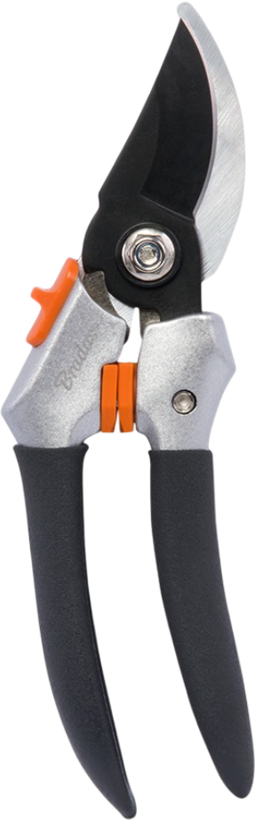Купить Ножницы садовые BRADAS V-SERIES SK5 (KT-V1024) - Фото 1 Ножницы садовые BRADAS V-SERIES SK5 (KT-V1024) - Фото 1