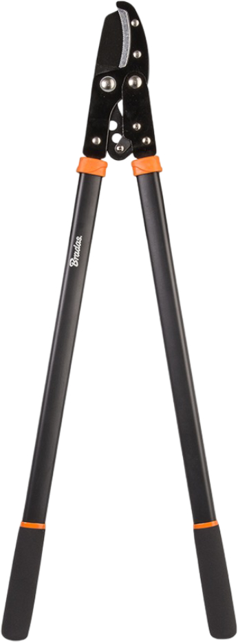 Купить Ножницы садовые BRADAS V-SERIES с наковальней (KT-V1221) - Фото 1 Ножницы садовые BRADAS V-SERIES с наковальней (KT-V1221) - Фото 1