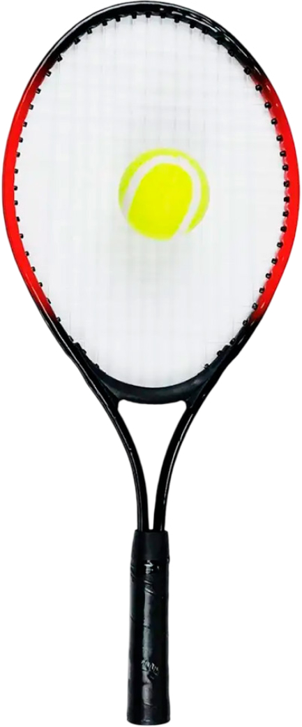 Купити Ракетка X-Treme XTTRH-S - Фото 1 Ракетка X-Treme XTTRH-S - Фото 1