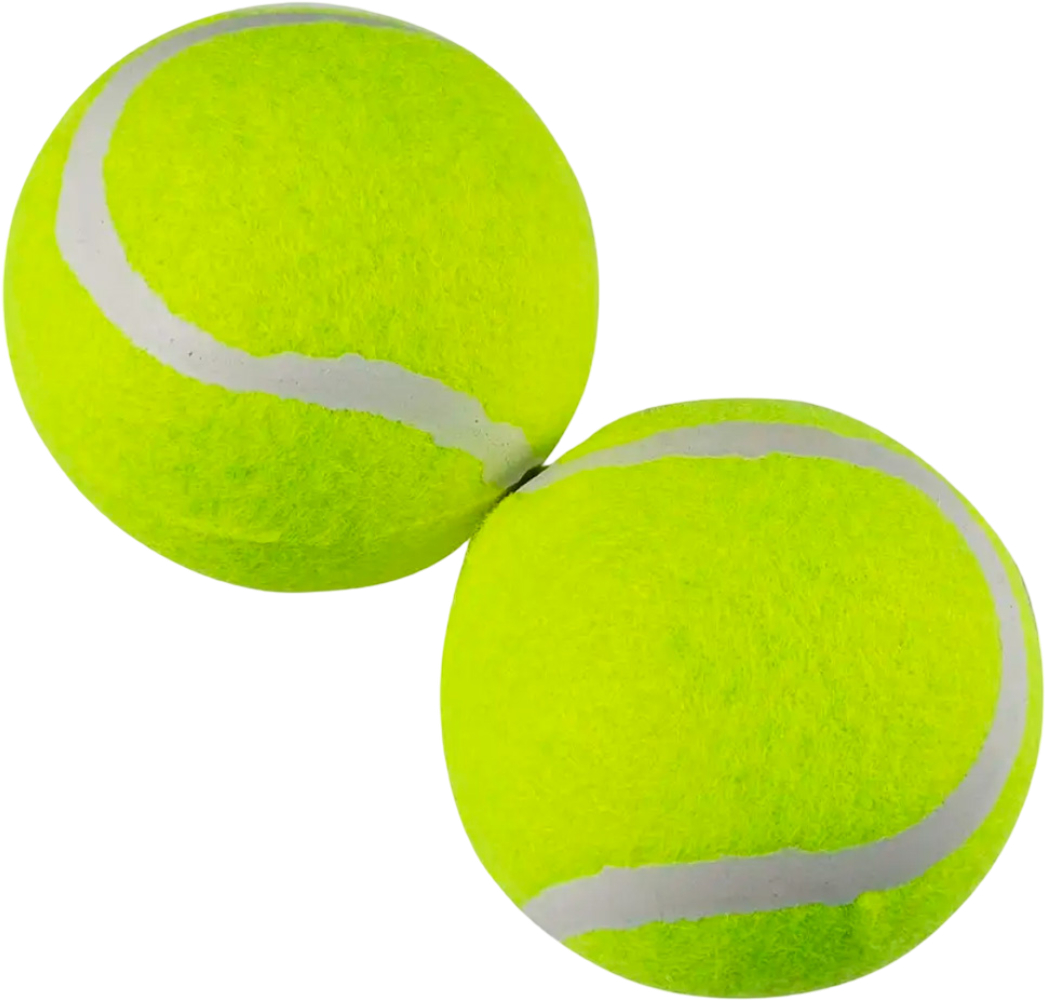 Купить Теннисный мяч X-Treme 2 шт. (XTTRBH-6O) - Фото 1 Теннисный мяч X-Treme 2 шт. (XTTRBH-6O) - Фото 1