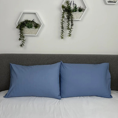 Купити Наволочка ТЕП Комплект 50х50 см Блакитний (2-04790_34466) - Фото 1 Наволочка ТЕП Комплект 50х50 см Блакитний (2-04790_34466) - Фото 1