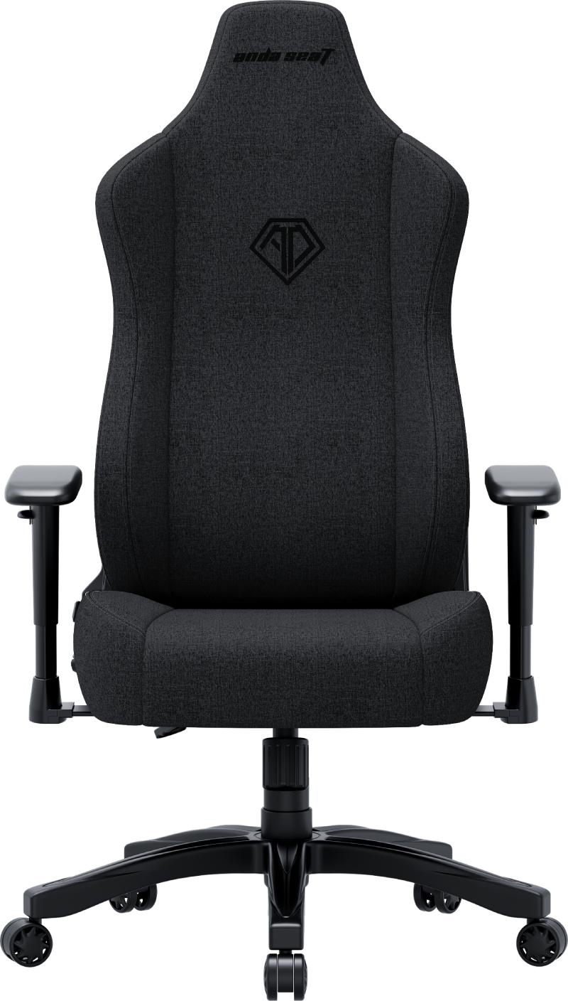 Крісло для геймерів Anda Seat Novis Size L Dark Gray Fabric (AD23-L-01-GB-F) - Фото 1