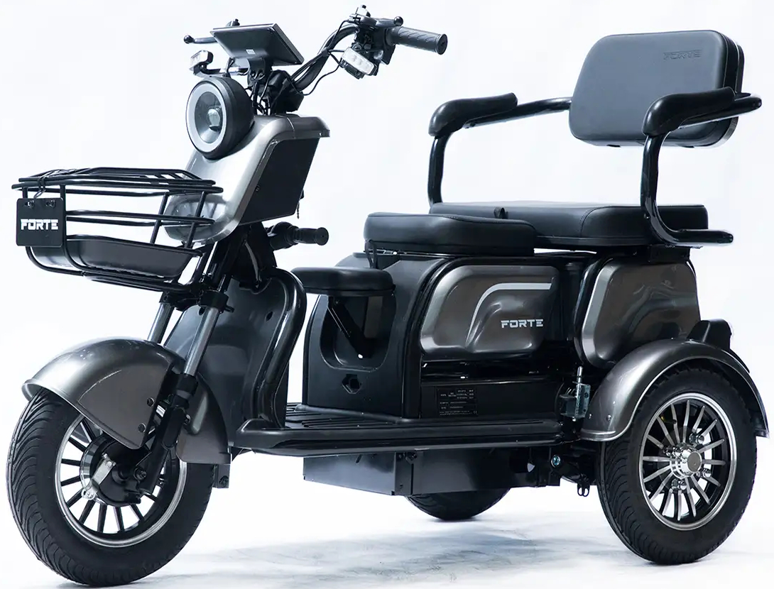 Трицикл Forte Family-P1000 Grey (+Аккумулятор 12V20A/25А 6 шт.) - Фото 1