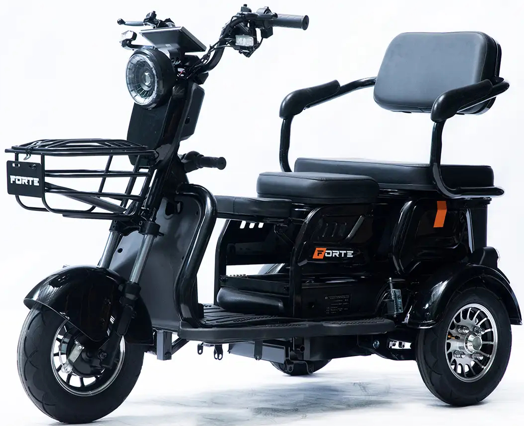 Трицикл Forte Family-P600 Black (+Аккумулятор 12V20A/25А 5 шт.) - Фото 1