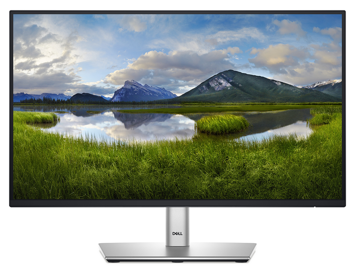 Монитор Dell P2225H (210-BMHD) - Фото 1