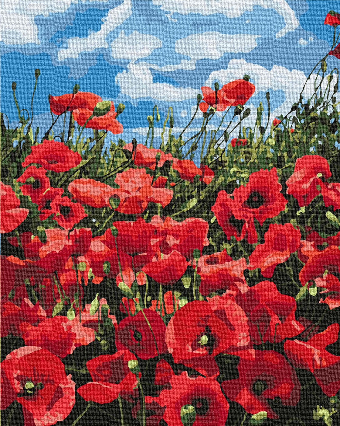 Картина за номерами Ideyka "Дивовожнi маки" 40*50см (KHO2287) - Фото 1