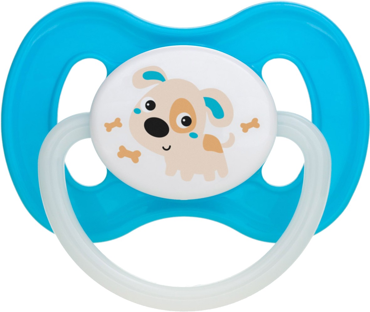 Симметричная пустышка Canpol babies Bunny & Company силиконовая 0-6 мес. бирюзовая, 1 шт. (23/268_tur) - Фото 1