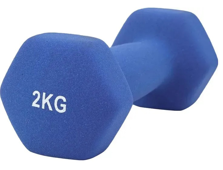 Купити Гантель для фітнесу TECOFIT 2 кг (TOP20056110/1) - Фото 1 Гантель для фітнесу TECOFIT 2 кг (TOP20056110/1) - Фото 1