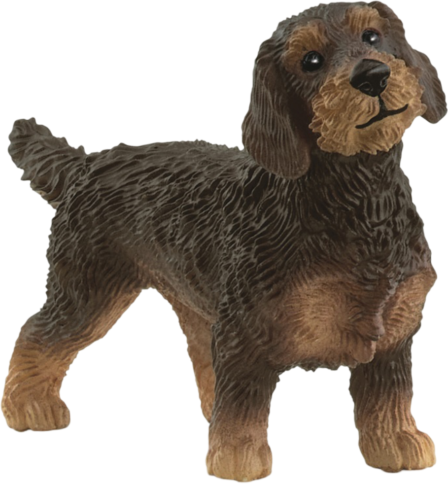 Колекційна фігурка Schleich Жорсткошерста такса (13972) - Фото 1