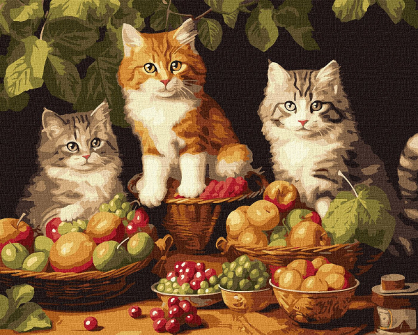 Картина по номерам Ideyka Котики и фрукты ©art_selena_ua 40х50 см (KHO6586) - Фото 1