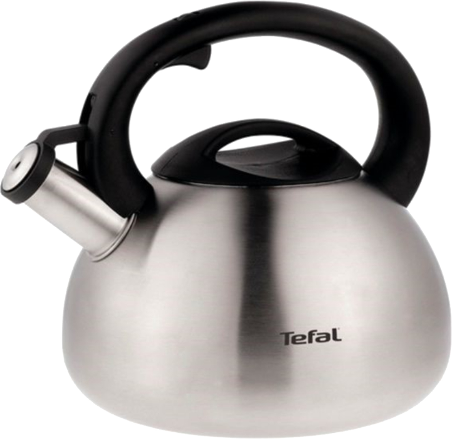 Чайник металлический Tefal N4180217 2,5 л - Фото 1