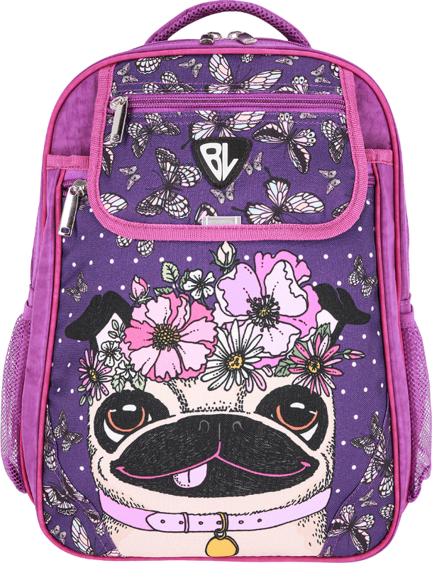 Рюкзак школьный Bagland Отличник 20 л. 58070 339 фиолетовый 890 - Фото 1