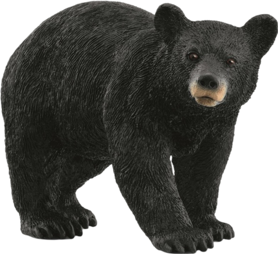 Коллекционная фигурка Schleich Американский черный медведь (14869) - Фото 1