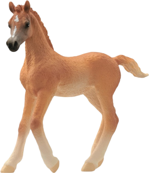 Колекційна фігурка Schleich Арабське лоша (13984) - Фото 1