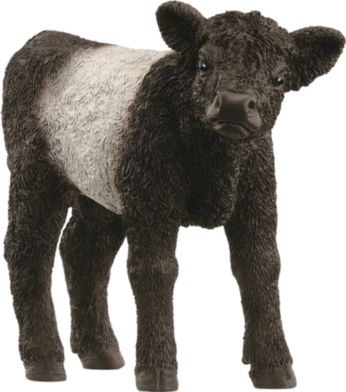 Колекційна фігурка Schleich Теля Галлоуей (13969) - Фото 1