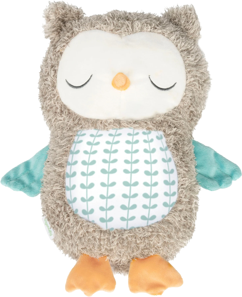 Интерактивная игрушка мягкая Ingenuity Snuggle Sounds Nally (12477) - Фото 1