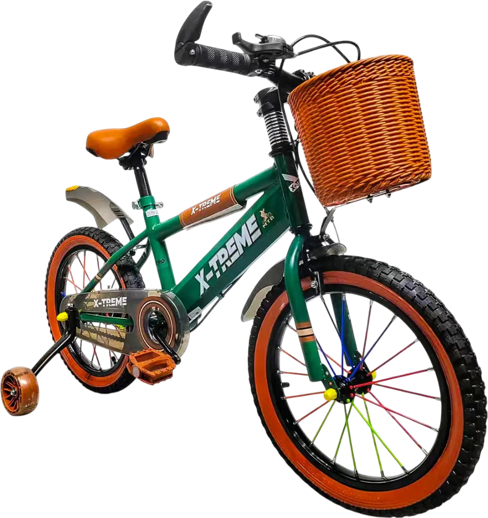Двухколёсный велосипед X-Treme RETRO 25.16-01 Green - Фото 1