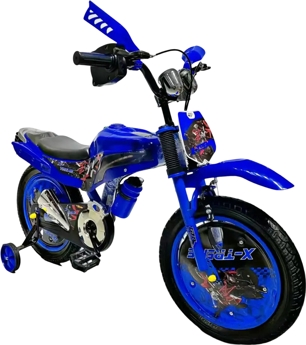 Двухколёсный велосипед X-Treme RIDER 25.16-02 Blue - Фото 1