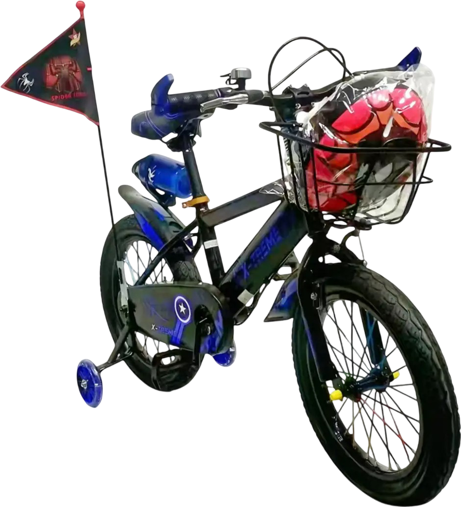 Двухколёсный велосипед X-Treme SPIDER 25.12-03 Black/Blue - Фото 1