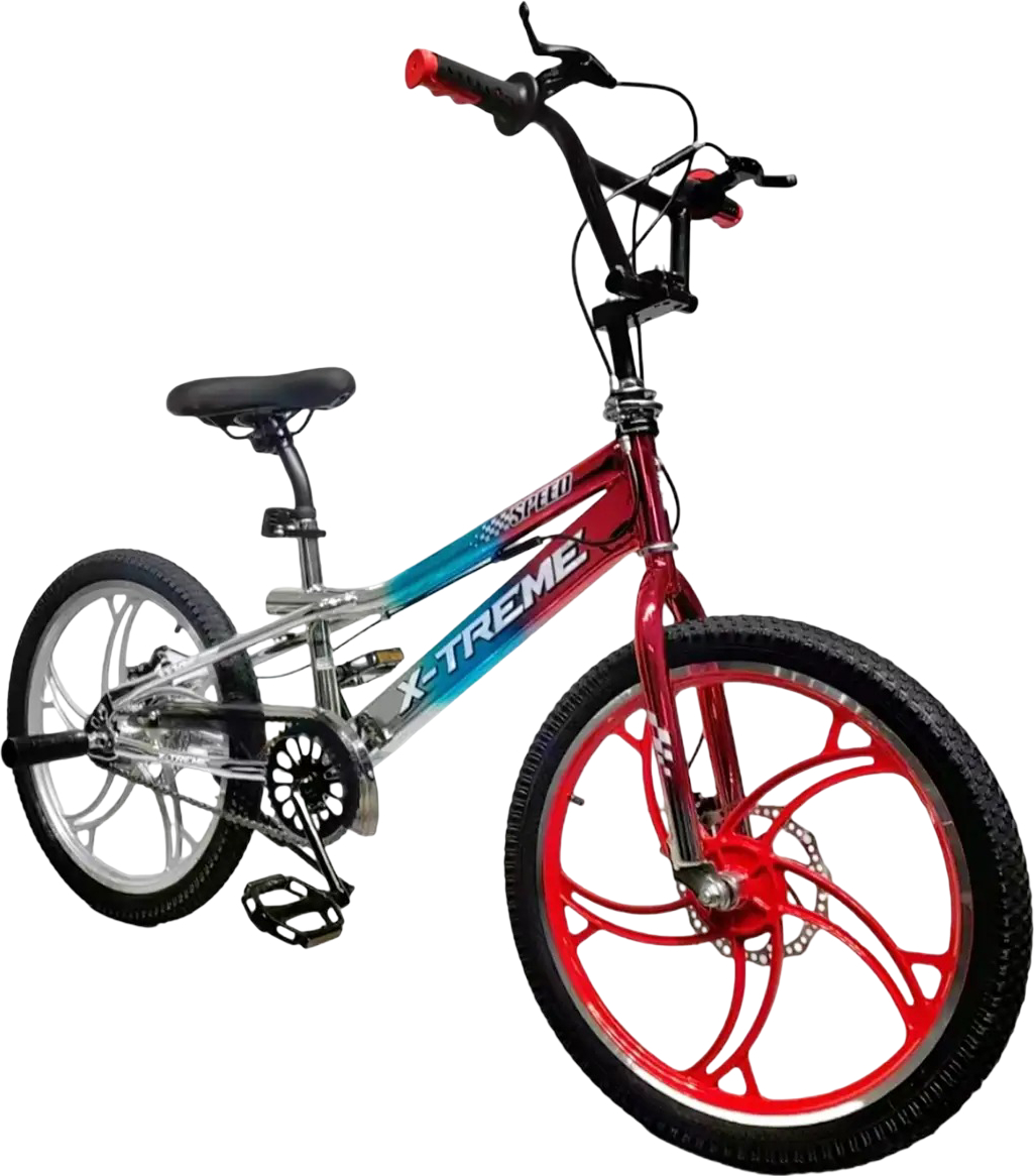 Двухколёсный велосипед X-Treme FALCON 25.20-01 Silver/Blue/Red - Фото 1