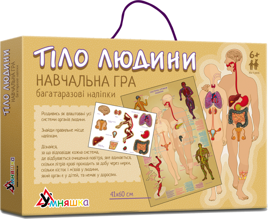Настольная игра развивающая (5-7 лет) Умняшка Тело человека укр. (КП-004у) - Фото 1