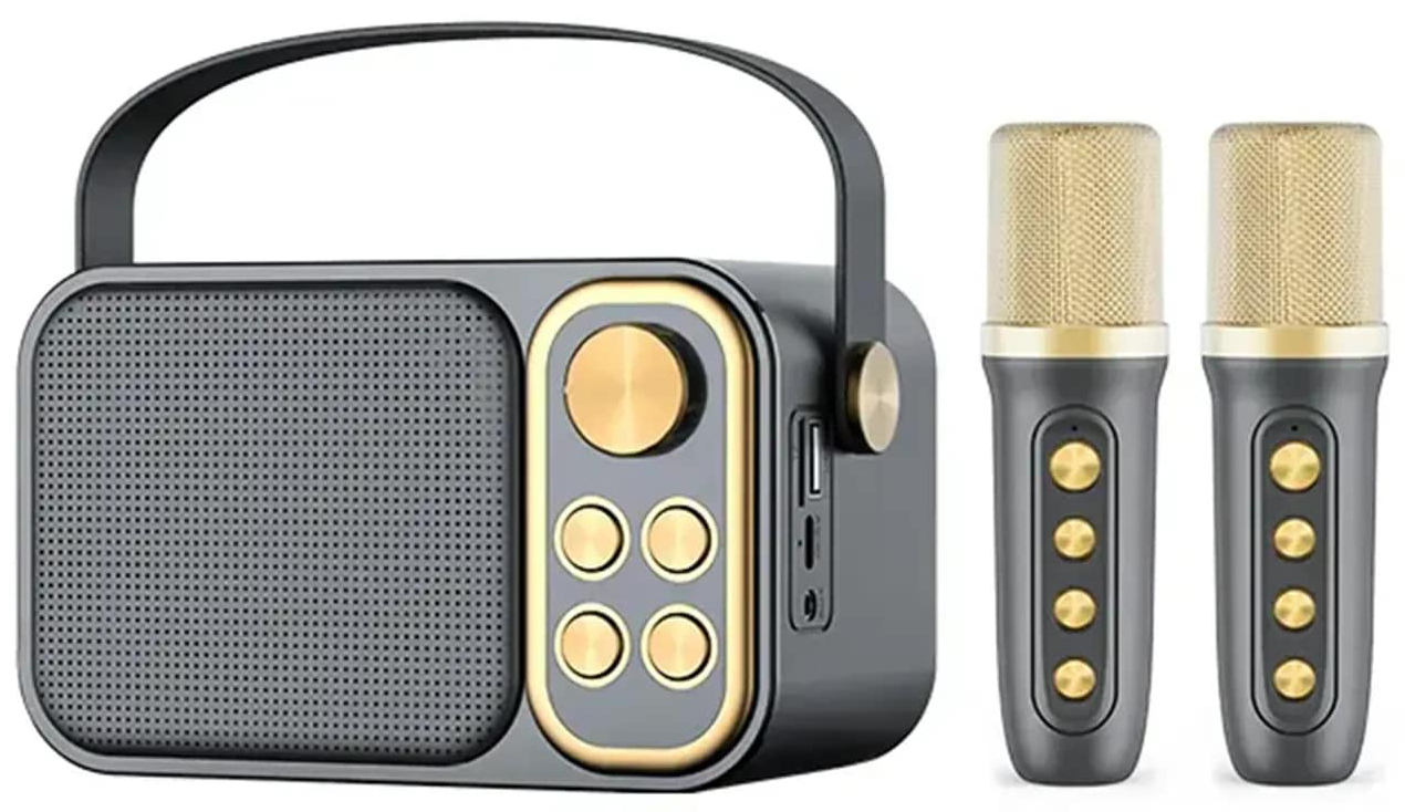 Портативная акустика INSPIRE караоке YS-105 Black - Фото 1