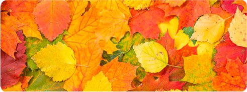 Коврик для мыши Voltronic Autumn leaves (FL372) - Фото 1