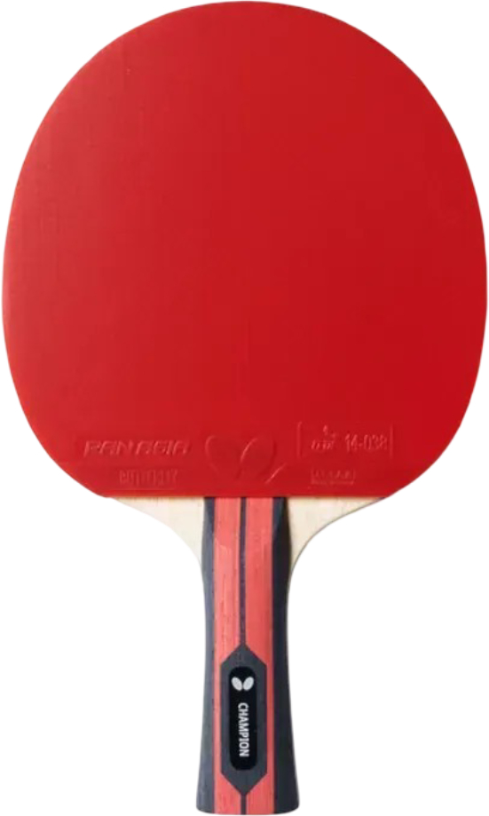 Ракетка для настільного тенісу Butterfly Champion FL (6256800002) - Фото 1