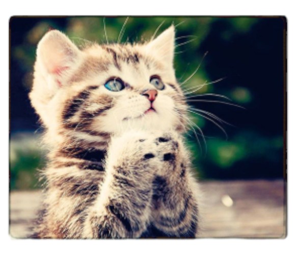 Коврик для мыши Voltronic CAT3 (YT-CAT3) - Фото 1