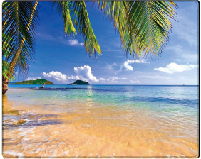 Коврик для мыши Voltronic Tropical Palm (YT-CAT7) - Фото 1