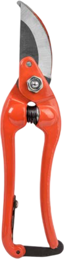 Купить Ножницы садовые BRADAS Line Profi 8" (KT-RG1027/8) - Фото 1 Ножницы садовые BRADAS Line Profi 8" (KT-RG1027/8) - Фото 1