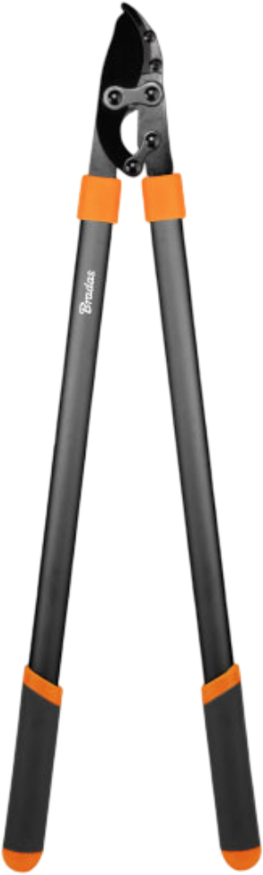 Купить Ножницы садовые BRADAS V-SERIES 690 мм (KT-V1251) - Фото 1 Ножницы садовые BRADAS V-SERIES 690 мм (KT-V1251) - Фото 1