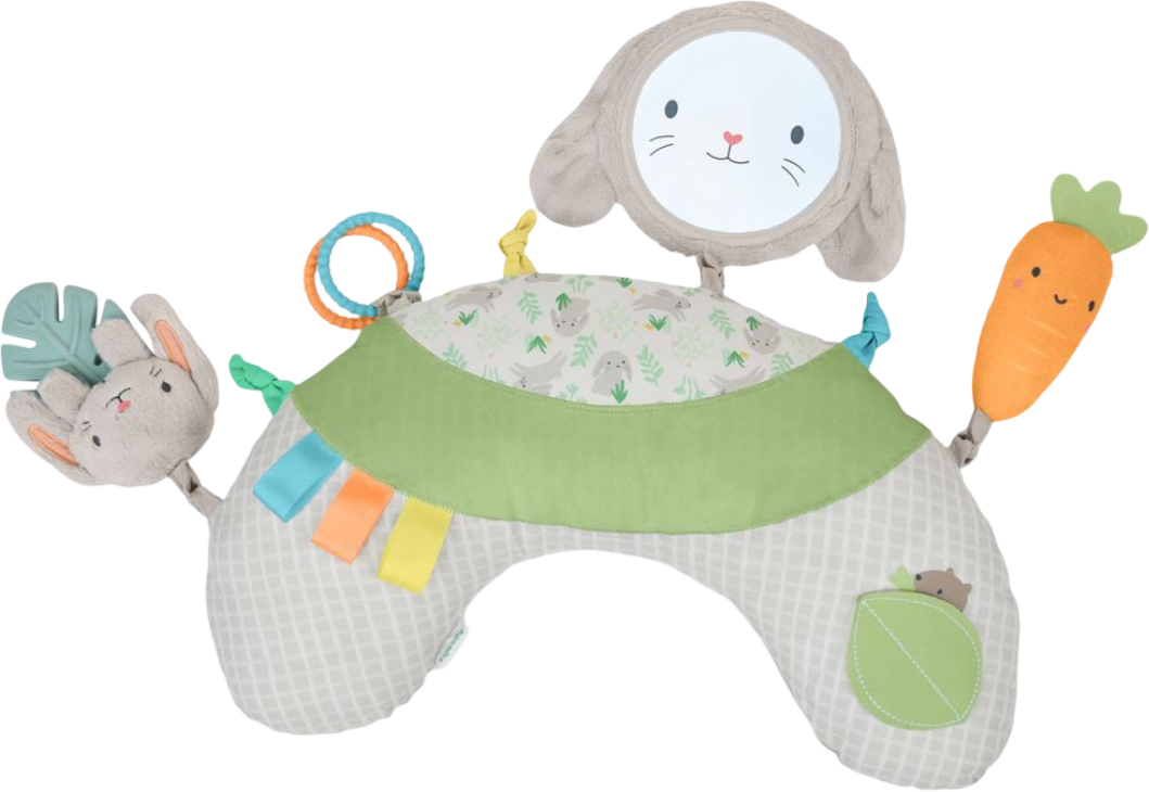 Купити Розвиваюча подушка-килимок Ingenuity Cozy Prop Sylvi (17328) - Фото 1 Розвиваюча подушка-килимок Ingenuity Cozy Prop Sylvi (17328) - Фото 1