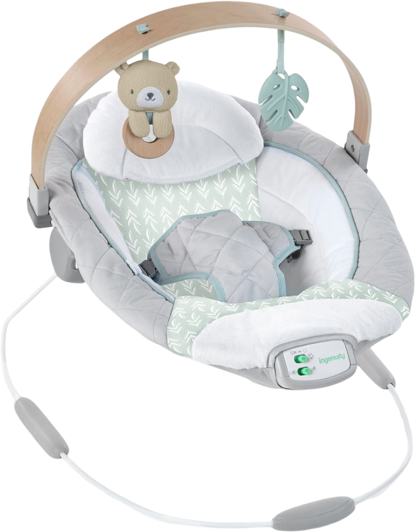 Купити Крісло-шезлонг Ingenuity Cozy Spot (13104) - Фото 1 Крісло-шезлонг Ingenuity Cozy Spot (13104) - Фото 1