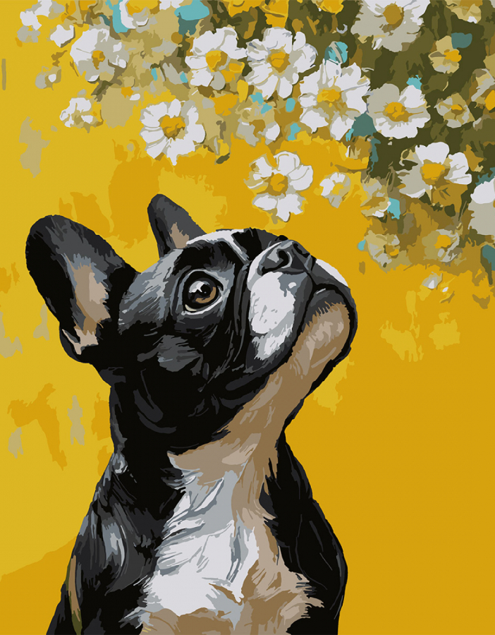 Купити Картина за номерами Santi Бульдог і квіти 40х50 см (955746) - Фото 1 Картина за номерами Santi Бульдог і квіти 40х50 см (955746) - Фото 1