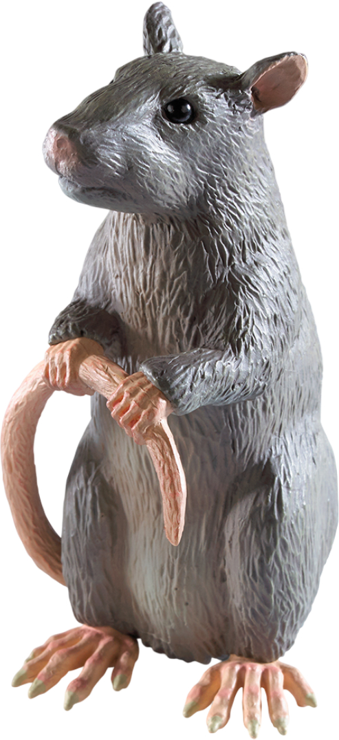 Купити Колекційна фігурка Noble Collection HARRY POTTER Scabbers- Magical Creatures №14 (NN7686) - Фото 1 Колекційна фігурка Noble Collection HARRY POTTER Scabbers- Magical Creatures №14 (NN7686) - Фото 1