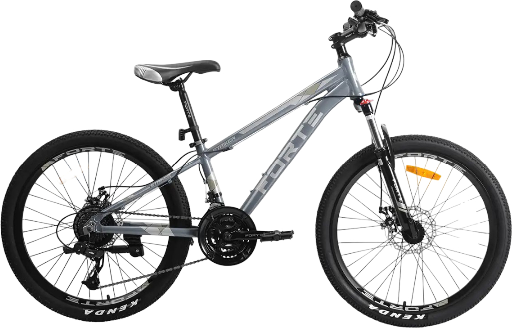 Купити Двоколісний велосипед Forte STRIKER 25.2412-08S Gray - Фото 1 Двоколісний велосипед Forte STRIKER 25.2412-08S Gray - Фото 1