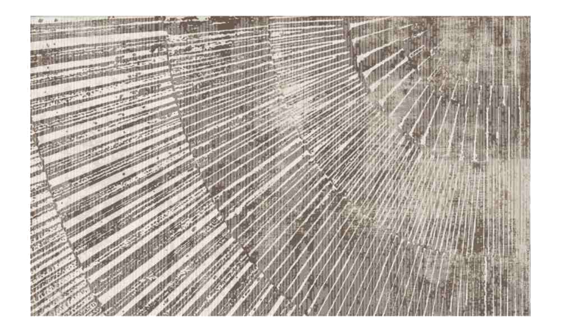 Коврик универсальный DarianA Felt Print принт 60х90 лучи (1000010539) - Фото 1