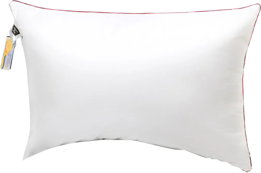 Купити Подушка стандартна MirSon 1177 DeLuxe Hand Made EcoSilk 40х60 см (2200001515055) - Фото 1 Подушка стандартна MirSon 1177 DeLuxe Hand Made EcoSilk 40х60 см (2200001515055) - Фото 1