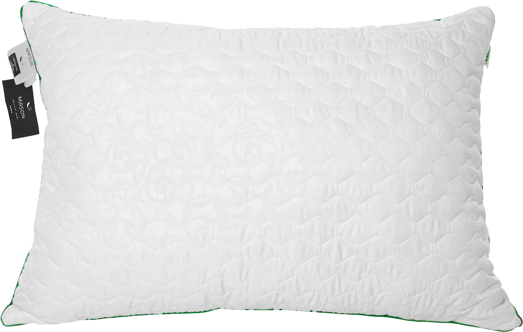 Купити Подушка стандартна MirSon Eco Eco-Soft Aloe Vera №463 60х60 см (2200000625199) - Фото 1 Подушка стандартна MirSon Eco Eco-Soft Aloe Vera №463 60х60 см (2200000625199) - Фото 1