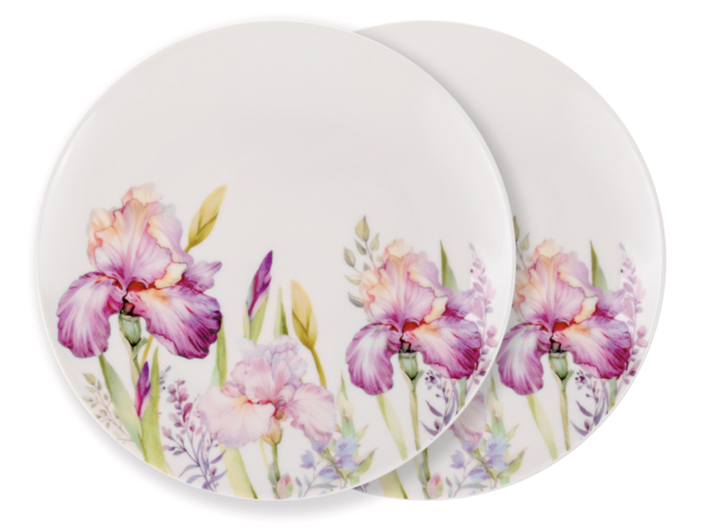 Купити Набір тарілок Lefard Іриси 20.5 см 2 шт. (924-789) - Фото 1 Набір тарілок Lefard Іриси 20.5 см 2 шт. (924-789) - Фото 1