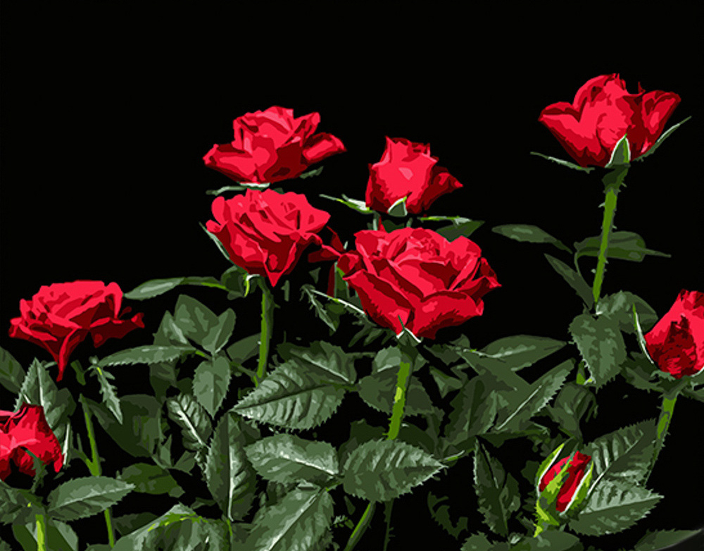 Картина за номерами Strateg Яскраві червоні троянди на чорному фоні 40х50 см (AH1051) - Фото 1