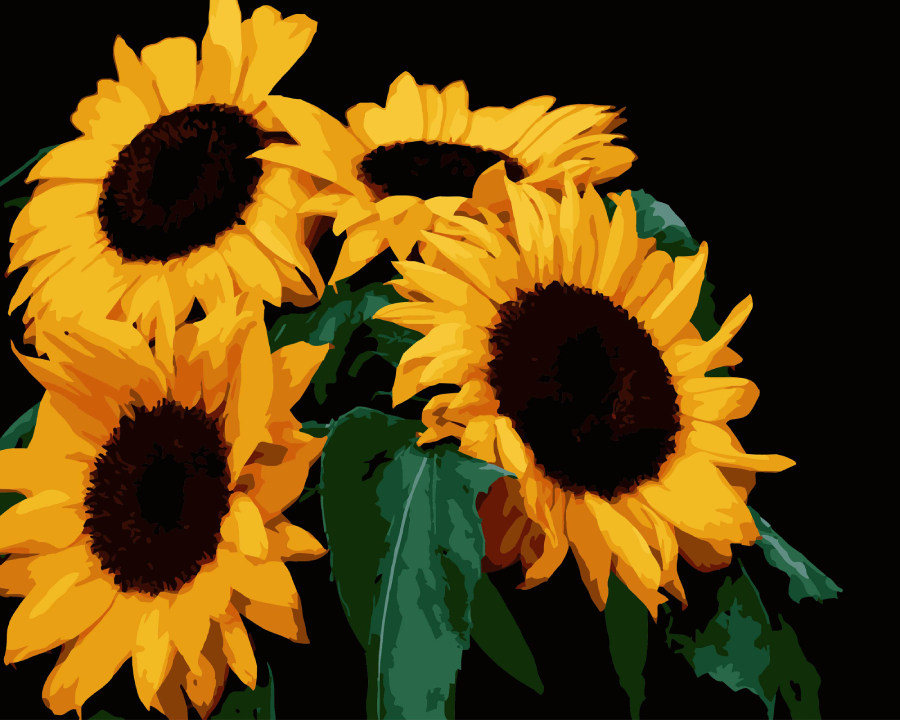 Картина за номерами Strateg Яскраві соняхи на чорному фоні 40х50 см (AH1185-13) - Фото 1